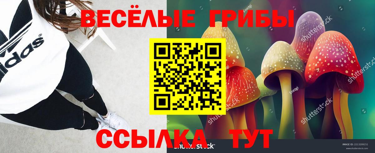 Псилоцибиновые грибы прущие грибы  Вход с VPN  Верхний Уфалей  Галлюциногенные грибы Psilocybine cubensis 