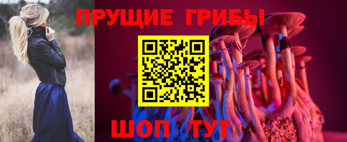 Псилоцибиновые грибы мухоморы Верхний Уфалей